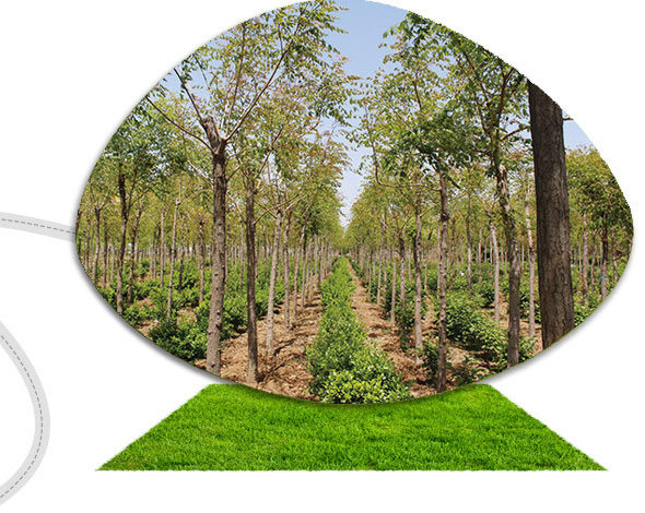 多年專注，規(guī)模大，經(jīng)驗(yàn)足