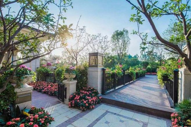 內蒙古苗木銷售 內蒙古苗木銷售