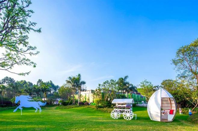 內蒙古苗木銷售 內蒙古苗木銷售