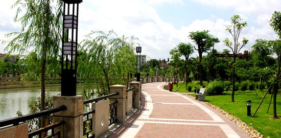 內蒙古苗木銷售 內蒙古苗木銷售